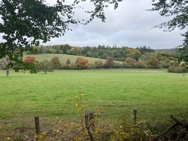 View of Ranmore near Polesden